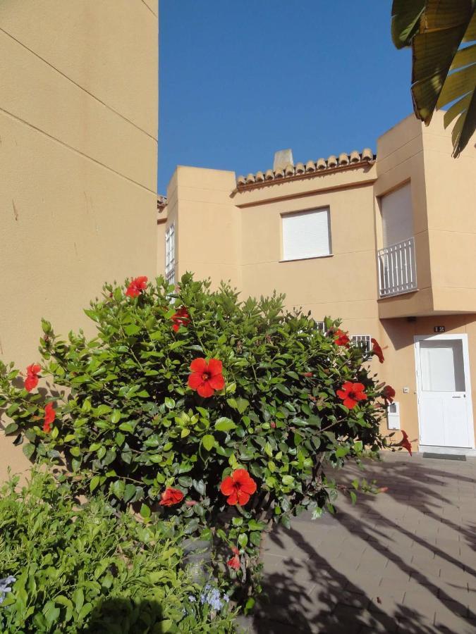 Near The Of Num01 * Marbella